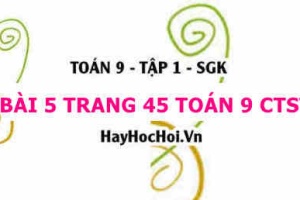 Bài 5 trang 45 Toán 9 tập 1 Chân trời sáng tạo